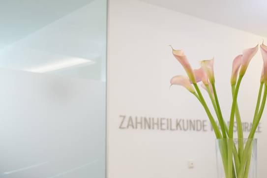 Was macht eigentlich eine Dentalhygienikerin / ein Dentalhygieniker? 